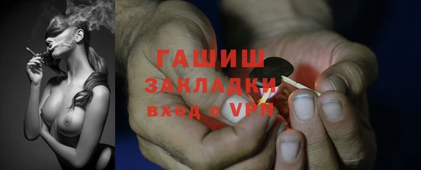 индика Армянск