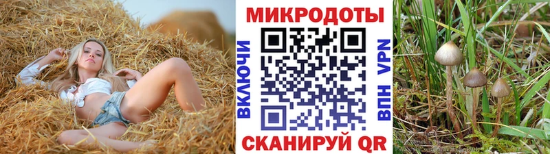 Псилоцибиновые грибы MAGIC MUSHROOMS  OMG ссылки  Сибай 
